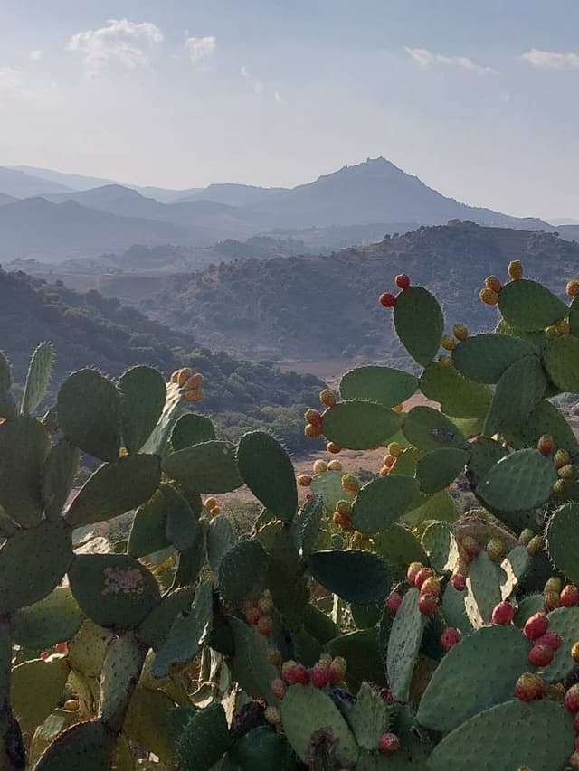 Photo 2 by Uldis B. (10/18/23)