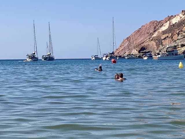 Photo 2 by Paulina K. (7/27/22)