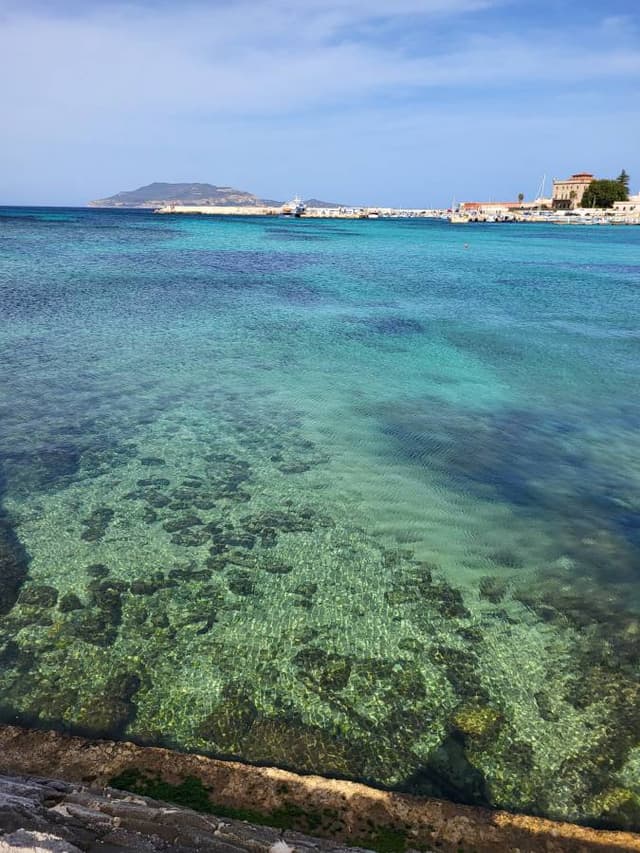 Photo 2 by Vincent C. (3/15/25)