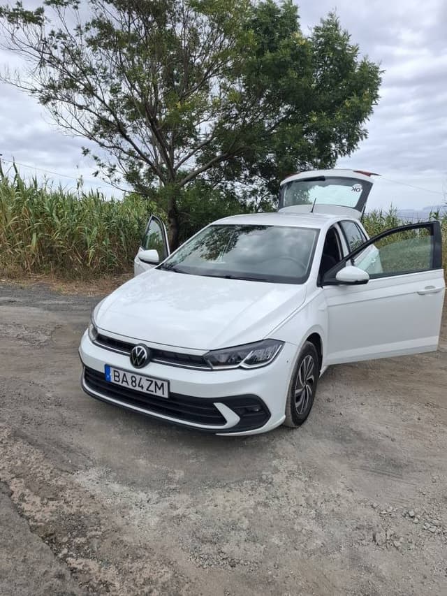 Photo by Claudia A. (6/12/25)