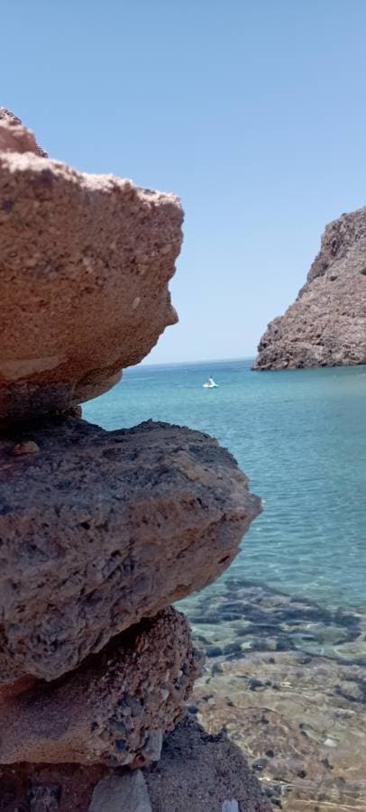 Photo 1 by Robert W. (7/18/25)