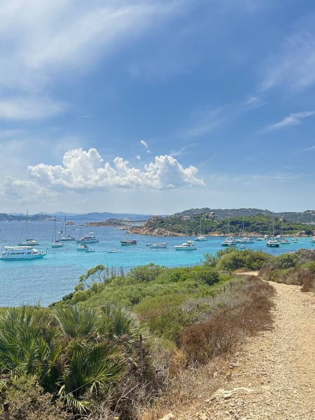 Photo 3 by Franciska J. (7/7/25)