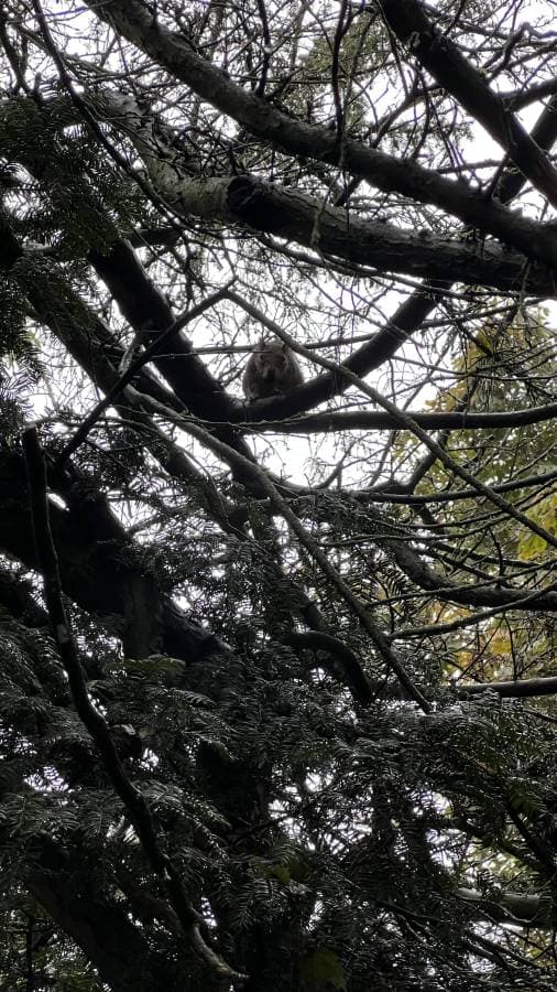 Photo 1 by Marina P. (11/1/22)