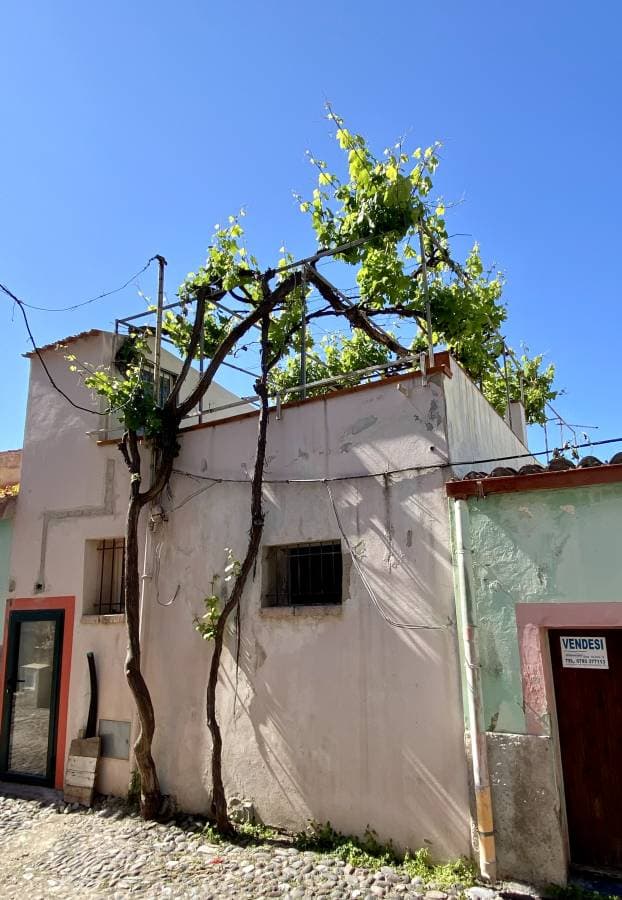 Photo 2 by Peter G. (5/19/25)