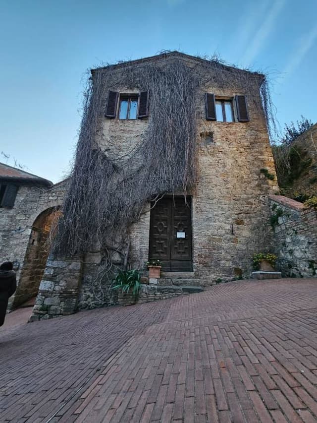 Photo 3 by Regont A. (3/29/26)