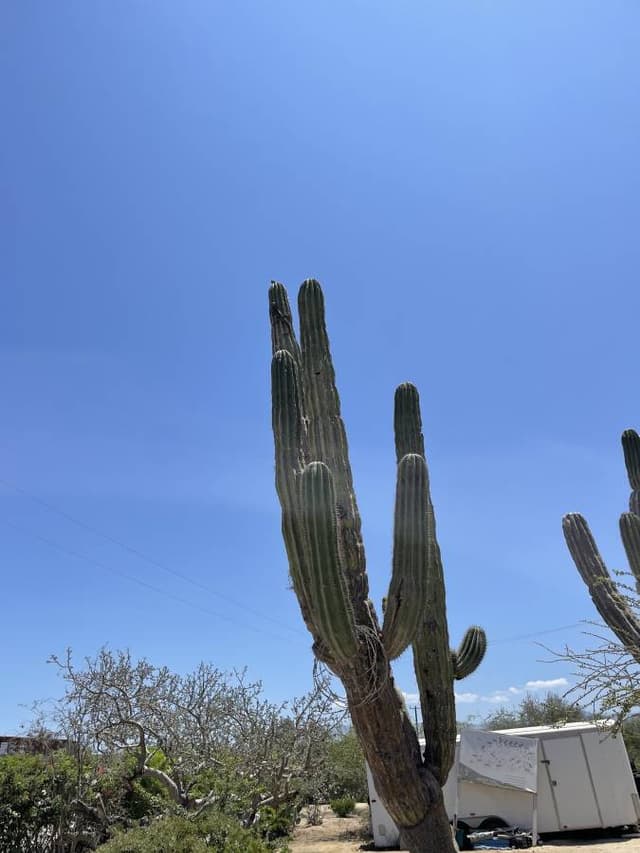 Photo by Ashley N. (7/10/22)