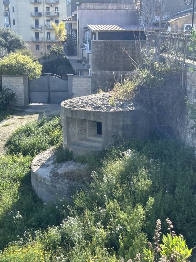 Photo 2 by Ralph C. (3/12/26)