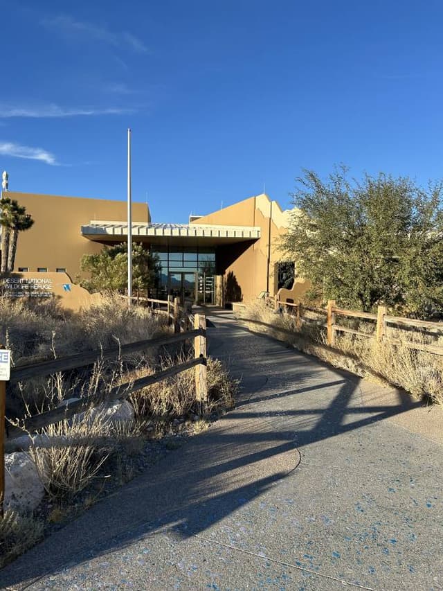 Photo 2 by Ronald B. (11/18/24)