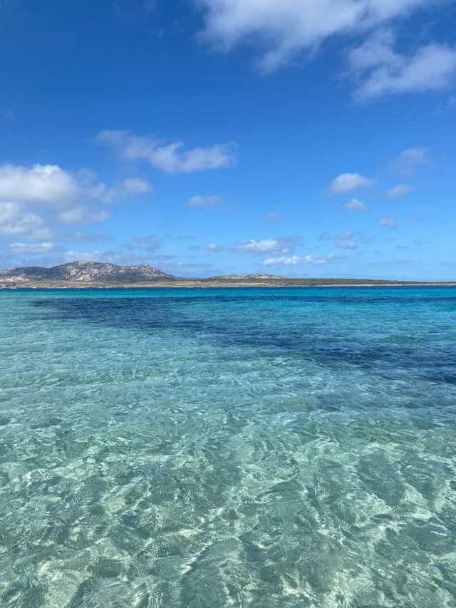 Photo 1 by Magdalena C. (5/12/24)