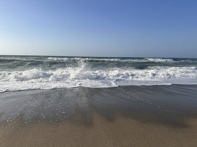 Photo 2 by Viktor M. (7/5/24)