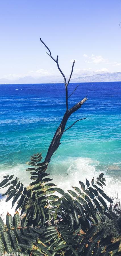 Photo 2 by Rakefet A. (7/5/24)