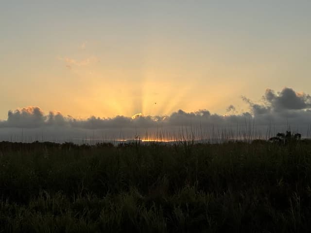 Photo 2 by Christopher K. (8/17/24)