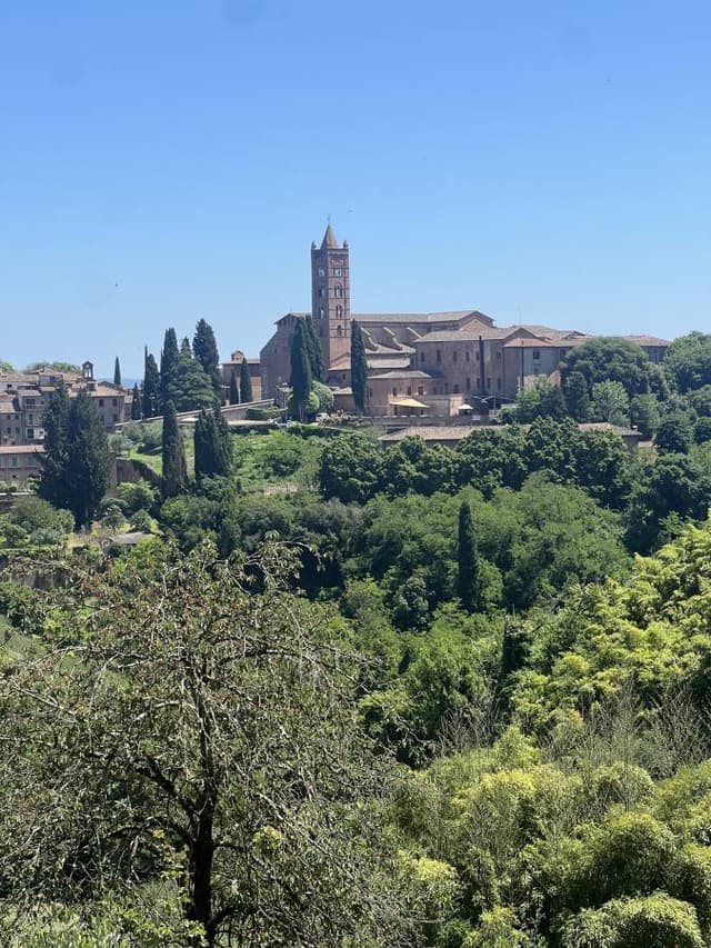 Photo 1 by Cristian M. (6/4/25)