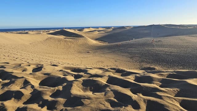 Photo 2 by Ostorhazi L. (11/12/25)