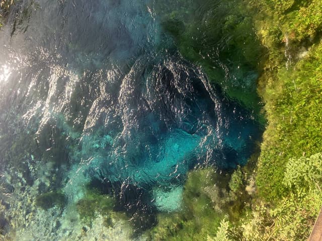 Photo 2 by Jes Reinholdt P. (9/19/25)