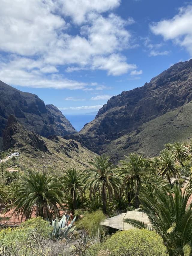 Photo 2 by Iosif N. (5/10/24)