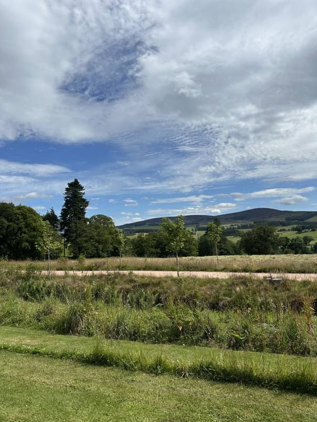 Photo 1 by Silje M. (7/11/25)