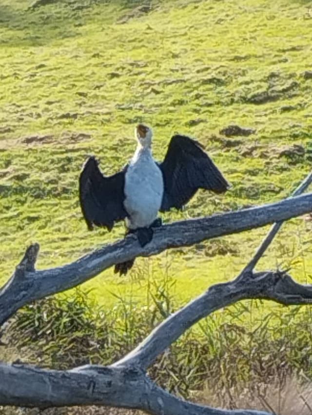 Photo 3 by Michael B. (4/22/24)