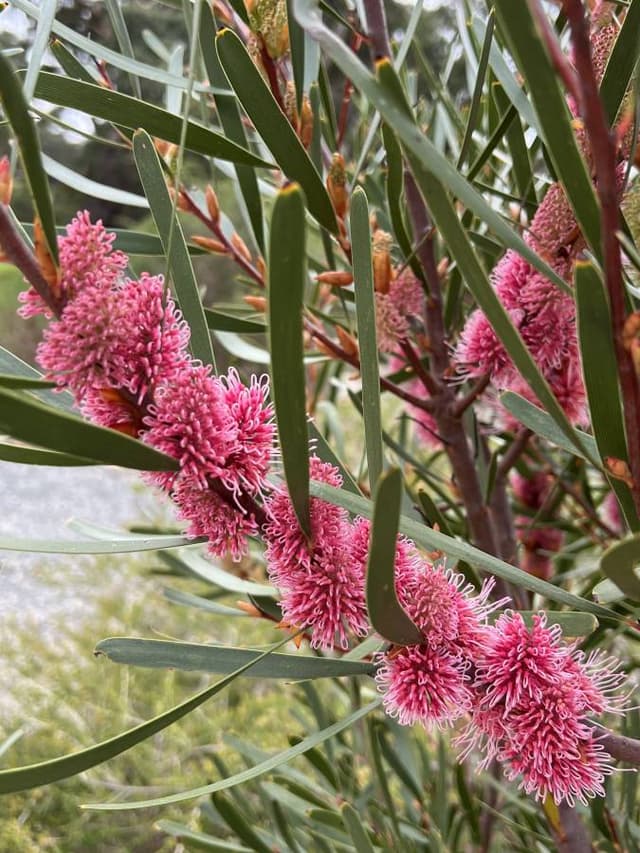 Photo 3 by Dan C. (6/19/24)