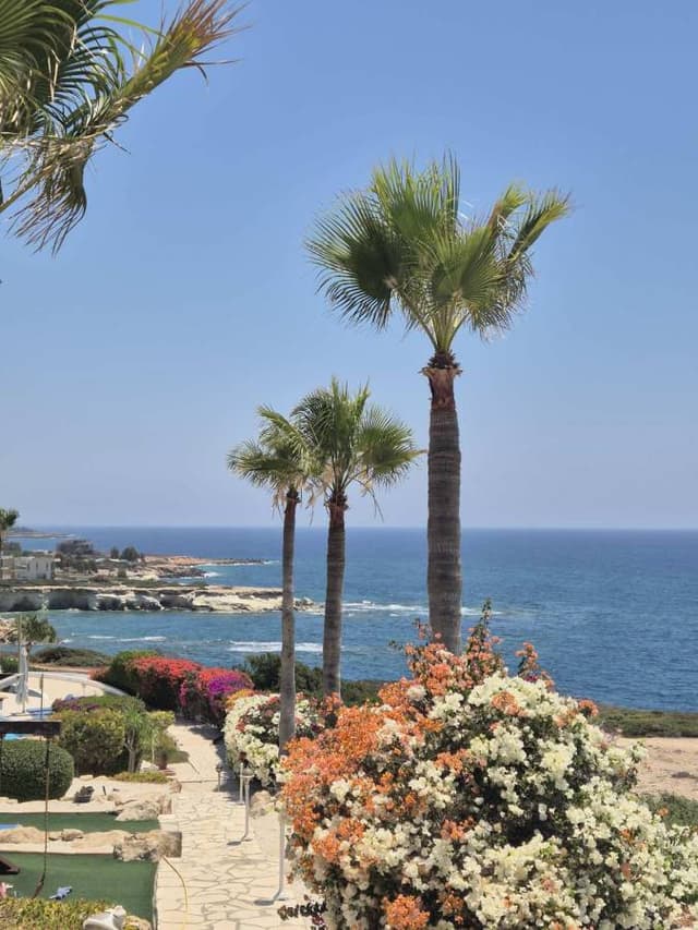 Photo 2 by Rimvydas A. (7/13/25)