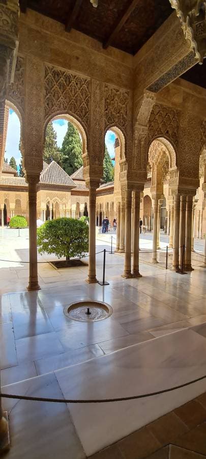 Photo 3 by Zouheir T. (4/21/25)