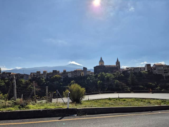 Photo 1 by Marcela H. (11/4/24)