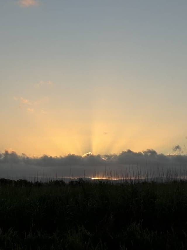 Photo 3 by Christopher K. (8/17/24)