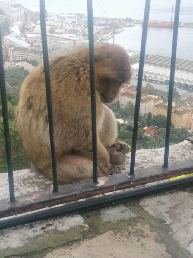 Photo 1 by Koloman T. (3/22/26)