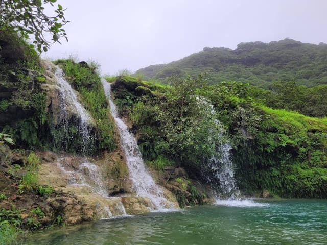 Photo by waheeb A. (8/26/24)