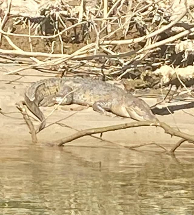 Photo 2 by Robert C. (7/17/24)