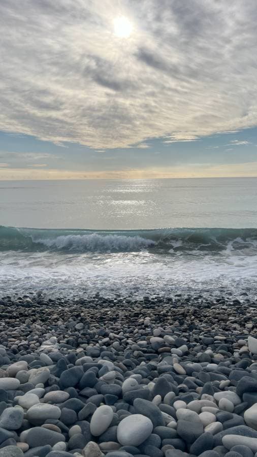 Photo 3 by Monika R. (12/17/23)