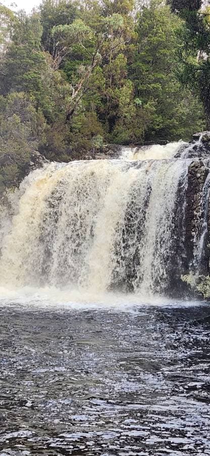 Photo 1 by Helen R. (5/15/25)