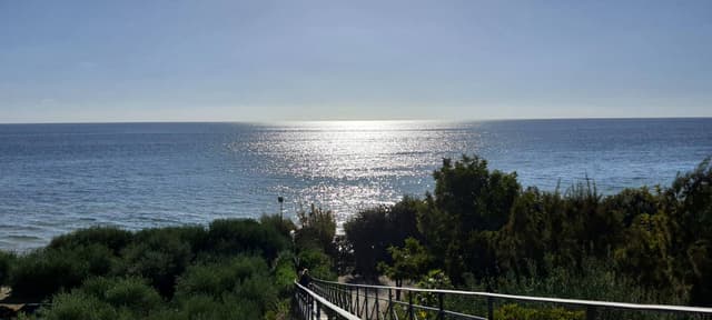 Photo by Marta P. (10/18/24)