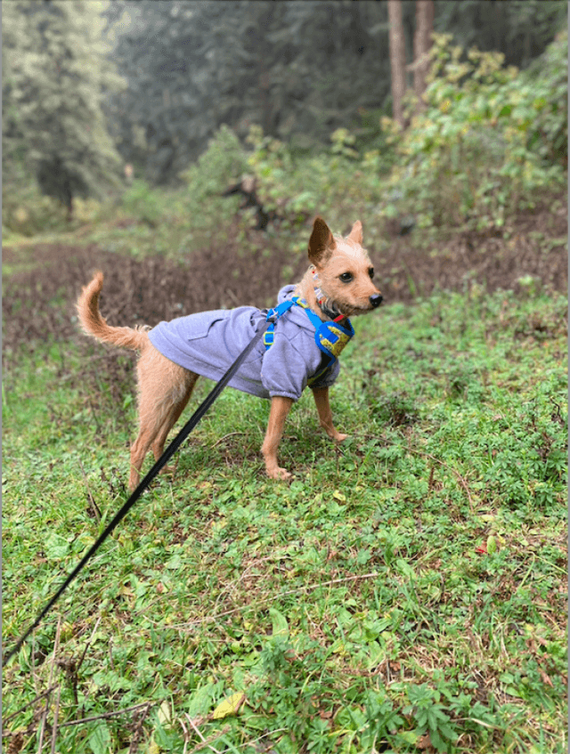 Photo 1 by Jennifer E. (1/23/24)