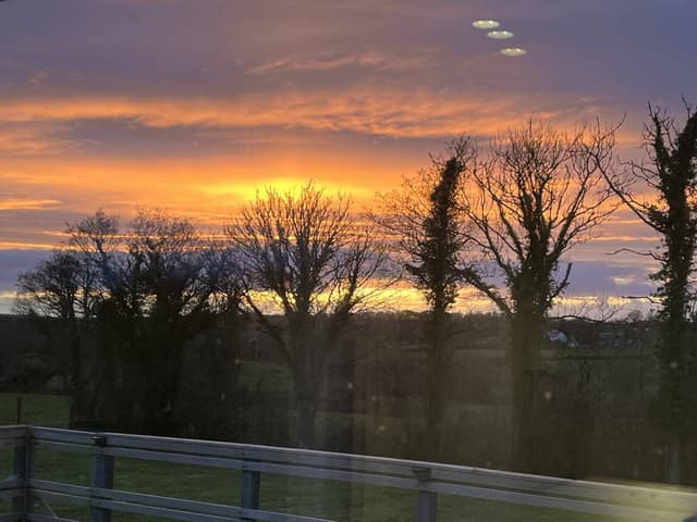 Photo by Jane Q. (3/24/25)