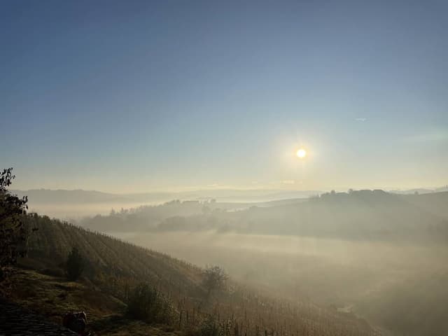 Photo 1 by Tymofii S. (2/2/25)