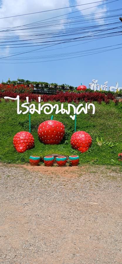 Photo 5 by steven M. (3/22/26)