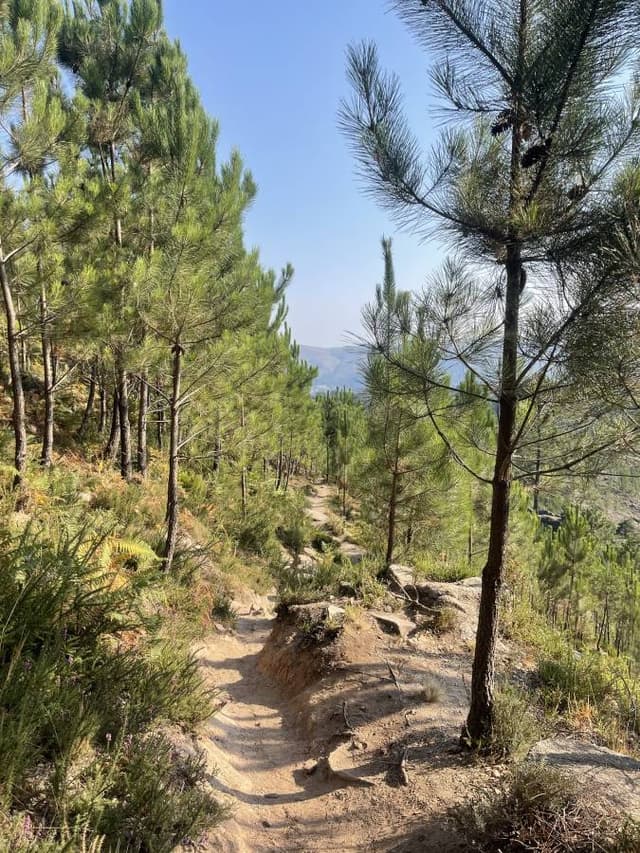 Photo 1 by Heidi H. (8/29/25)