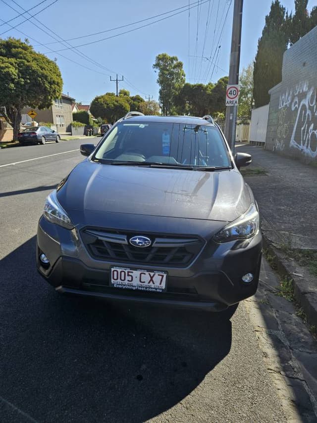 Photo by Everst Y. (3/31/25)