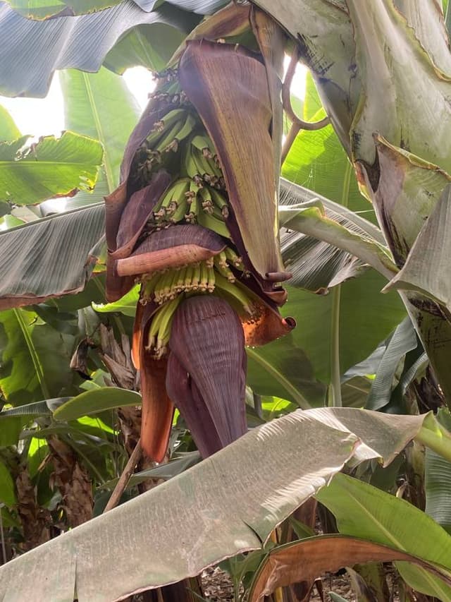 Photo 3 by Roger M. (11/12/24)