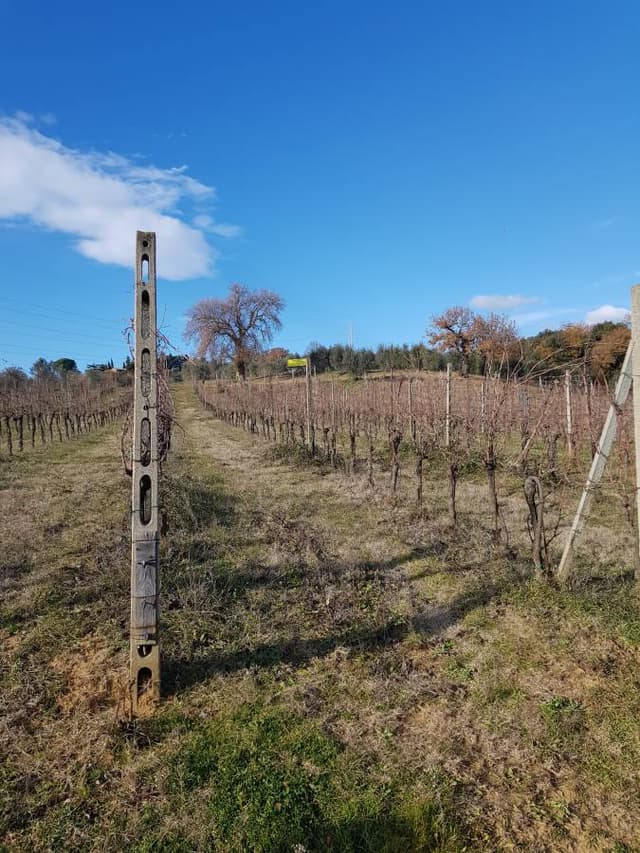 Photo 3 by Stephen M. (12/31/24)