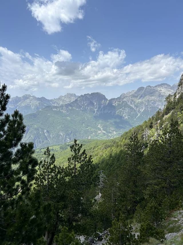 Photo 1 by Brenton W. (6/17/24)