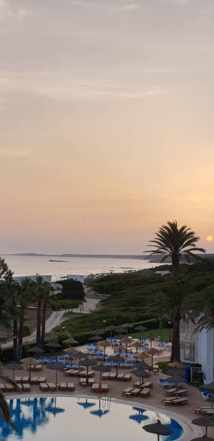 Photo 1 by Bruna C. (7/2/24)