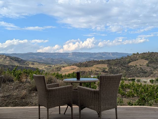 Photo by Avi K. (9/6/24)