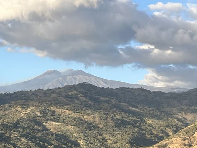 Photo by William F. (10/6/24)