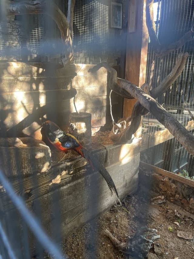 Photo 1 by Alexandra A. (9/2/24)