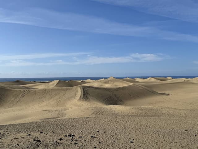 Photo 3 by Mark A. (5/27/25)