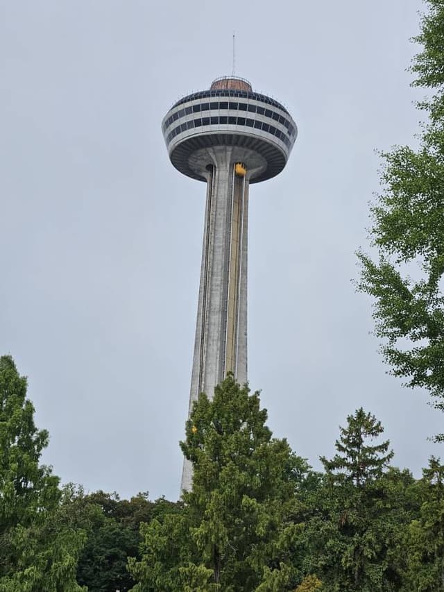 Photo 3 by meir M. (9/25/24)