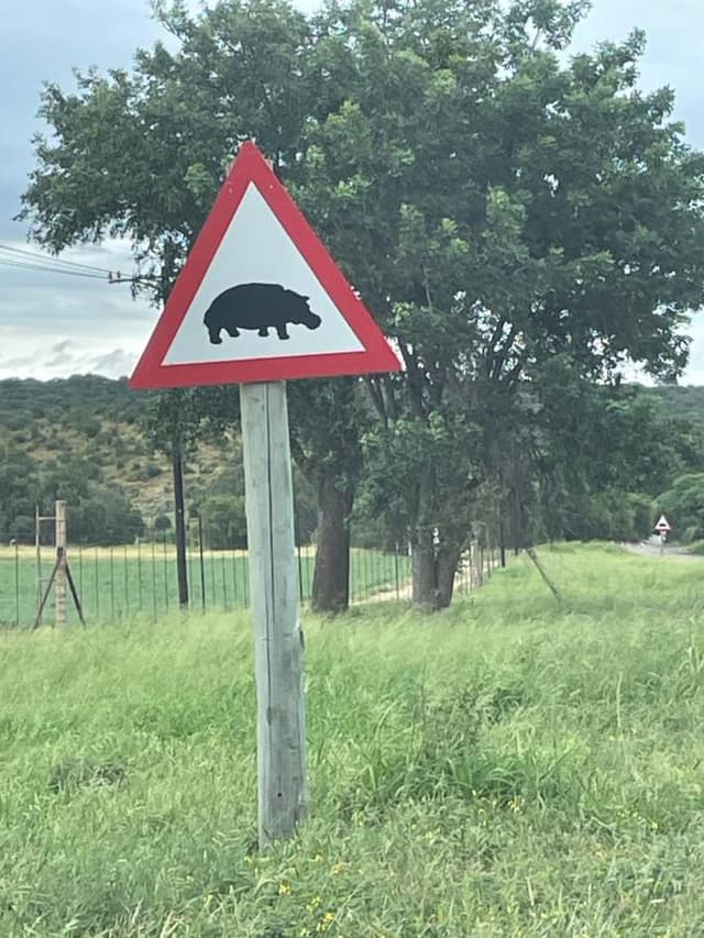 Photo 1 by OSWALD K. (3/10/26)