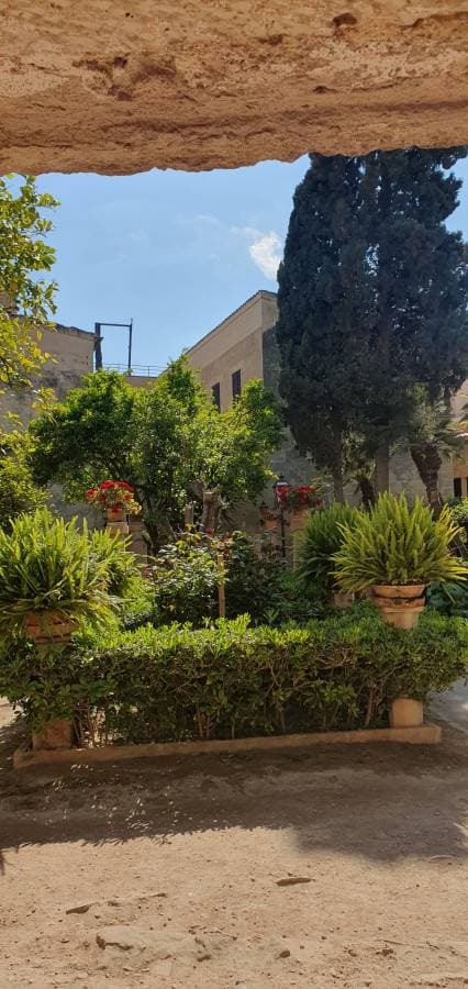 Photo 2 by Doychin D. (4/19/24)